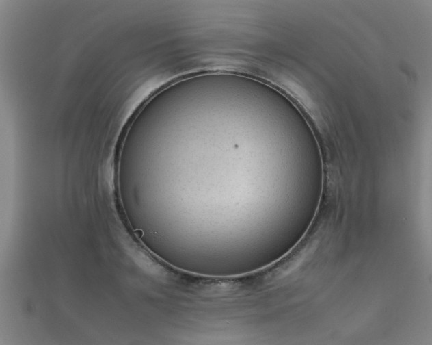 X0000112050891200908111347