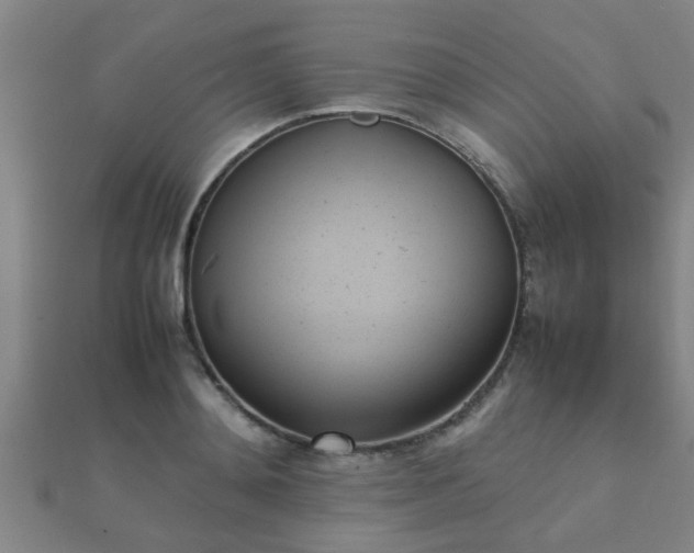 X0000112050892200908111347