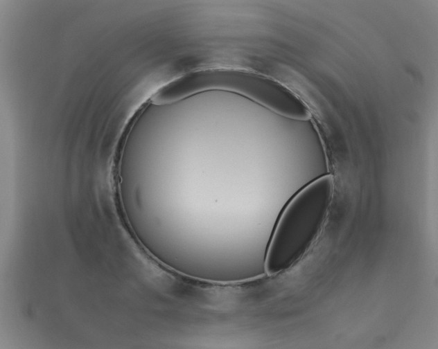 X0000112050893200908111347