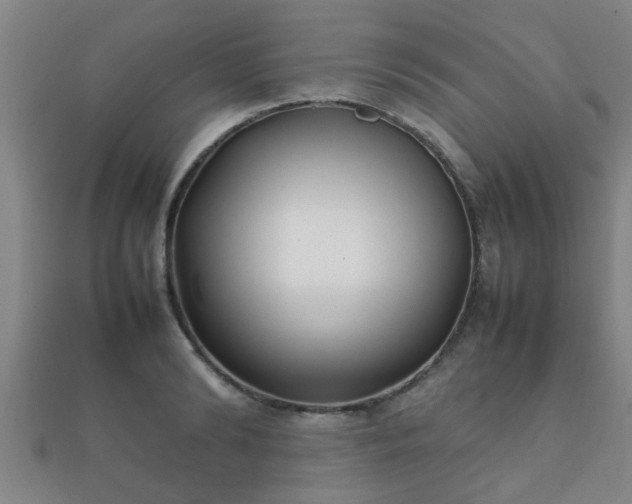 X0000112050894200908111347