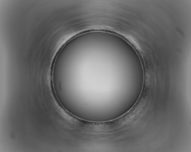 X0000112050895200908111347