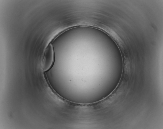 X0000112050896200908111347