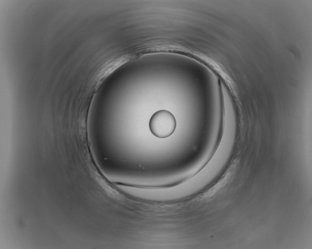 X0000112050897200908111347