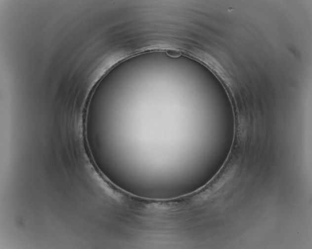 X0000112050898200908111347