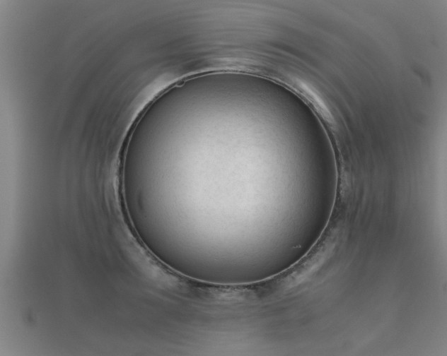 X0000112050899200908111347