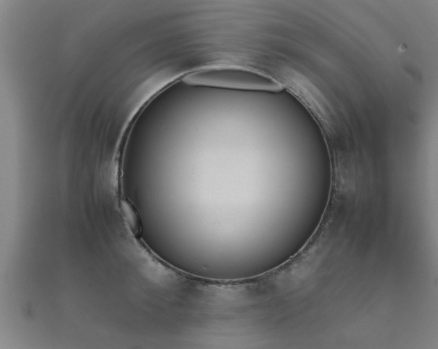 X0000112050900200908111347