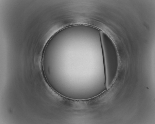 X0000112050901200908111347