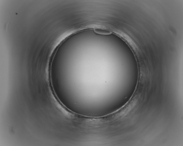 X0000112050902200908111347