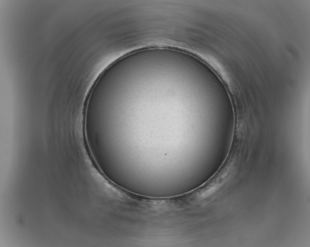 X0000112050903200908111347