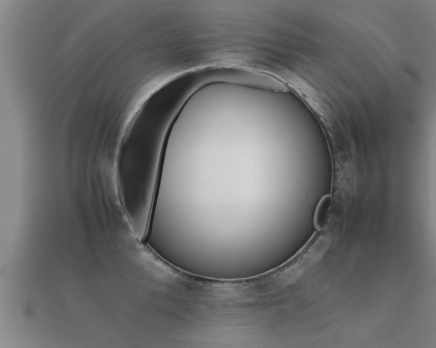 X0000112050904200908111347