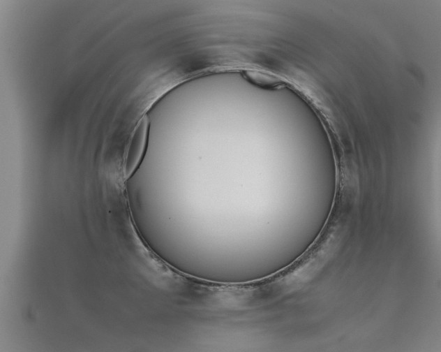 X0000112050905200908111347