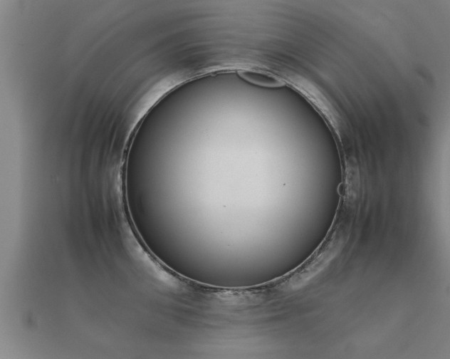 X0000112050906200908111347