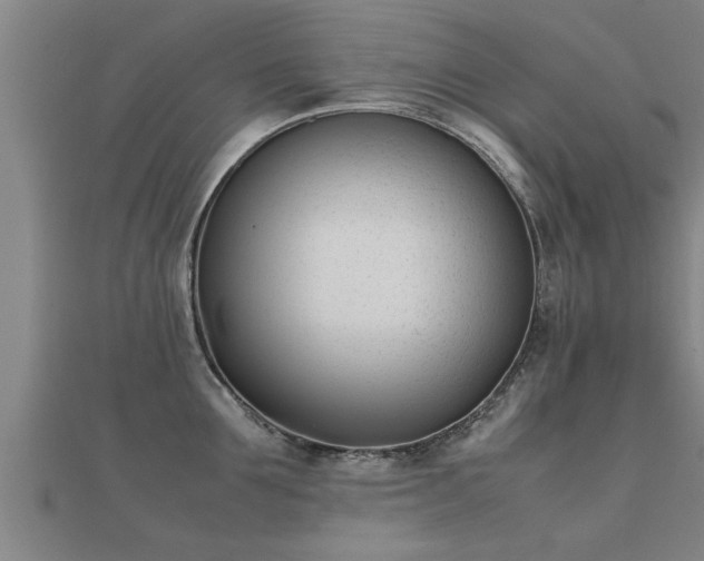 X0000112050907200908111347