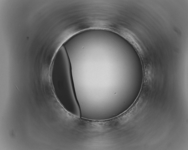 X0000112050908200908111347