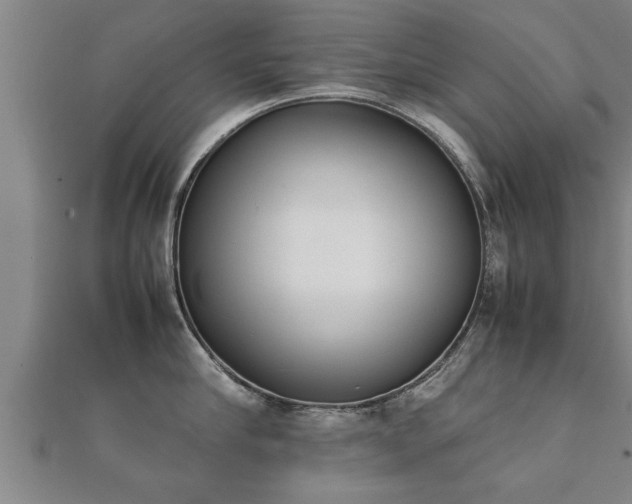 X0000112050910200908111347