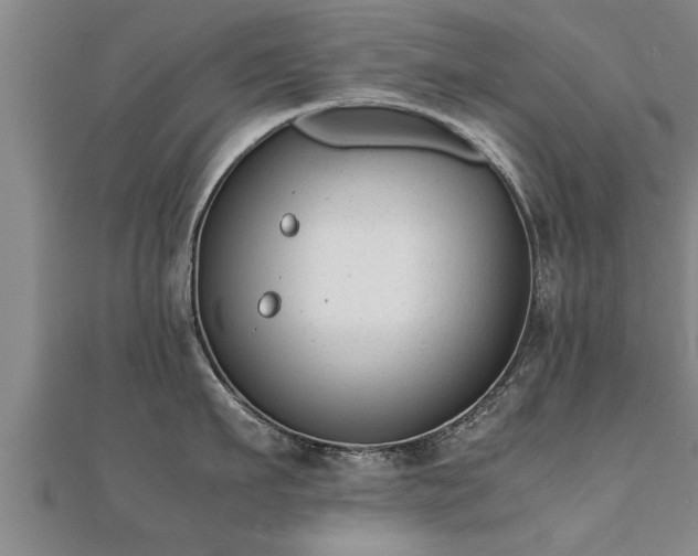 X0000112050911200908111347