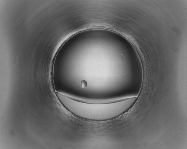 X0000112050912200908111347