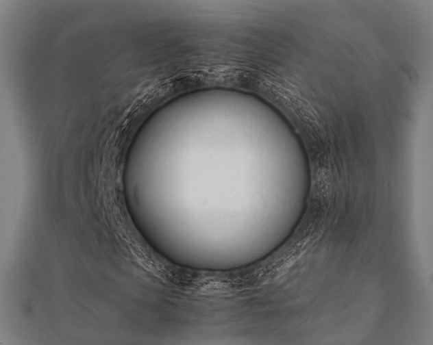 X0000112050913200908111346