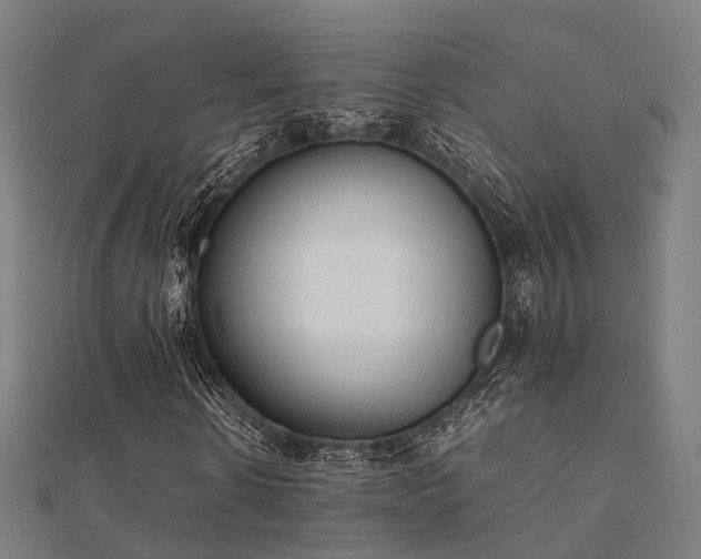 X0000112050914200908111346