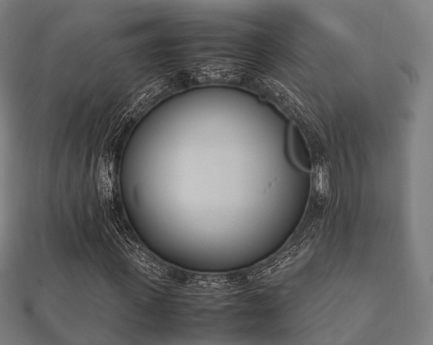 X0000112050915200908111346