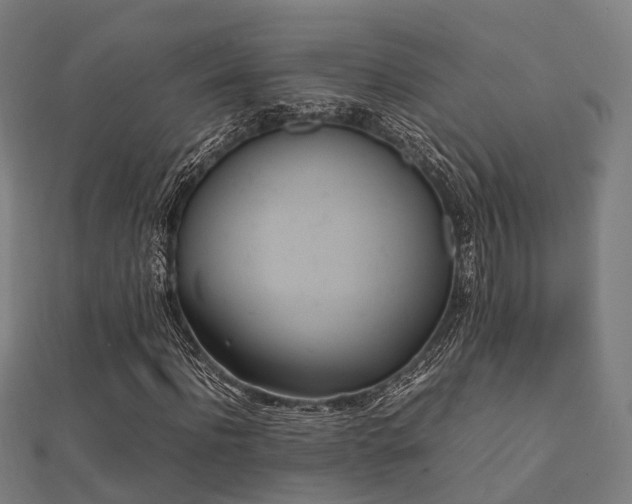 X0000112050916200908111346