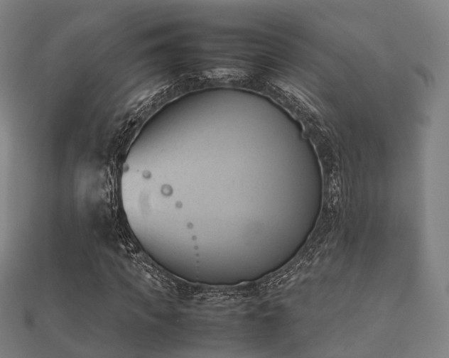 X0000112050917200908111346