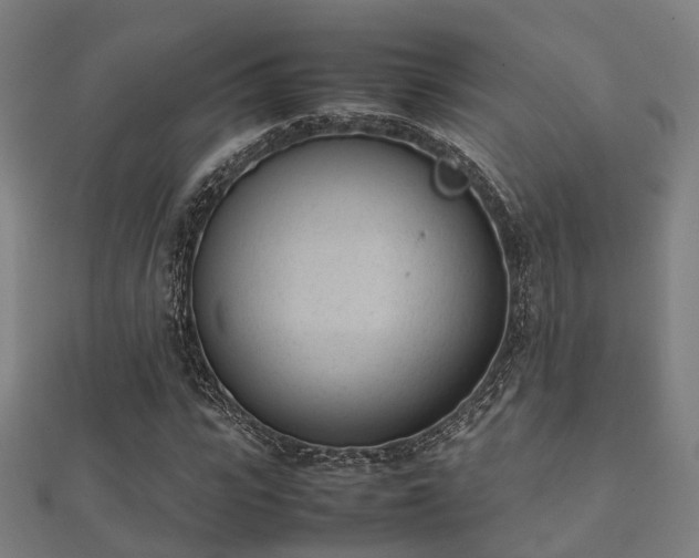 X0000112050919200908111346