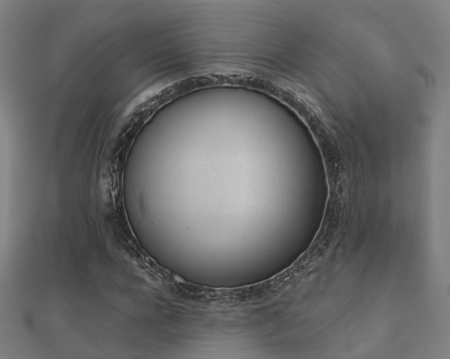 X0000112050920200908111346