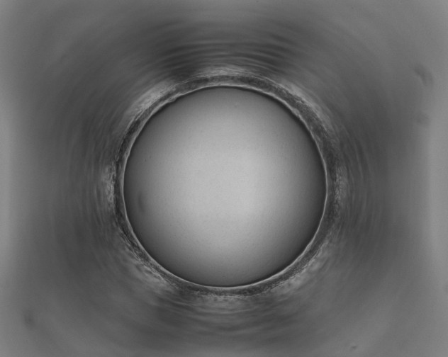 X0000112050921200908111346