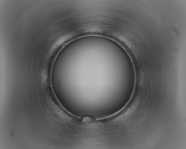 X0000112050922200908111346