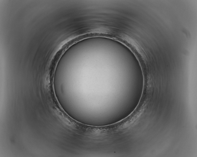 X0000112050923200908111346