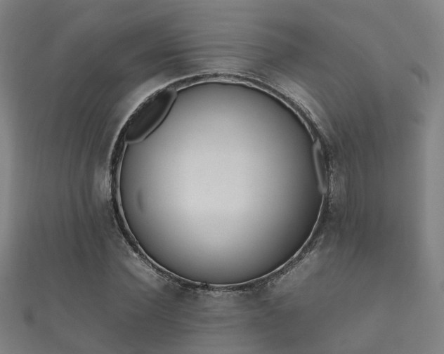 X0000112050924200908111346