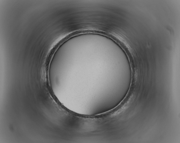 X0000112050925200908111346