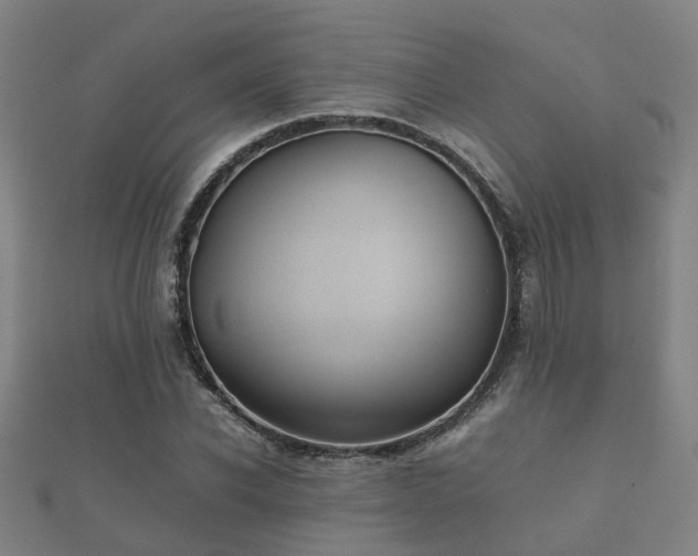 X0000112050926200908111346