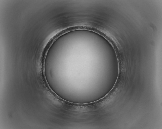 X0000112050927200908111346