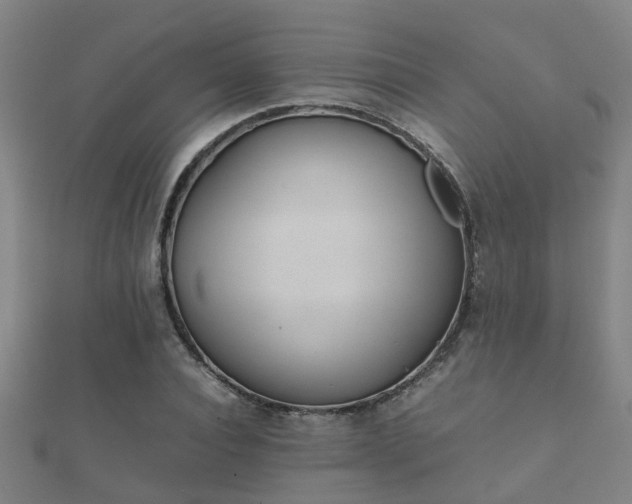 X0000112050928200908111346