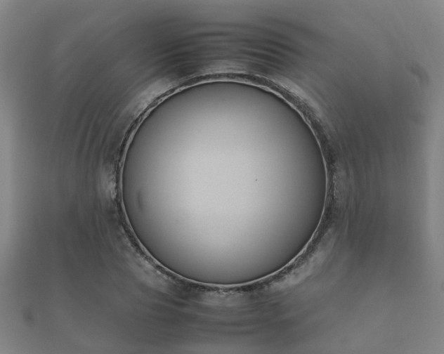 X0000112050929200908111346