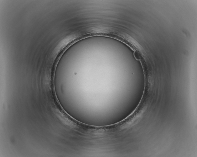 X0000112050930200908111346