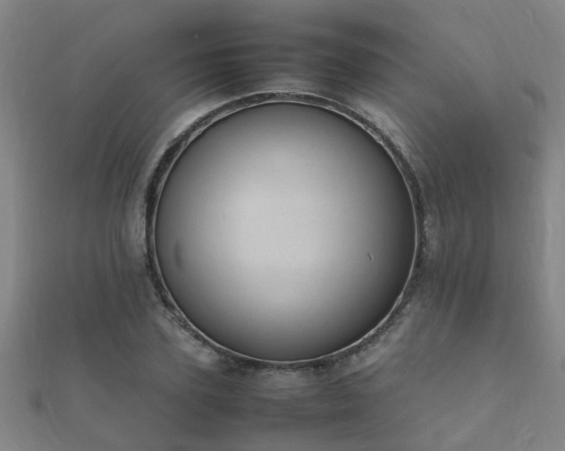 X0000112050931200908111346