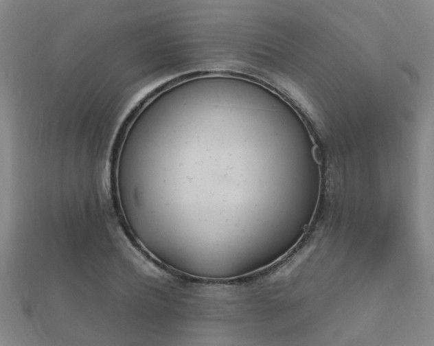 X0000112050932200908111346