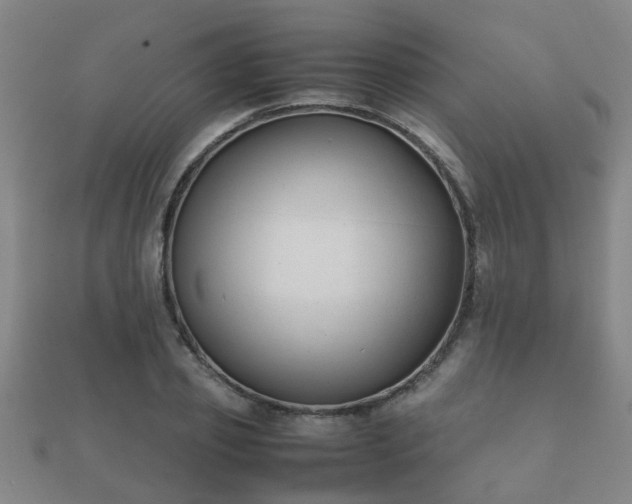 X0000112050933200908111346