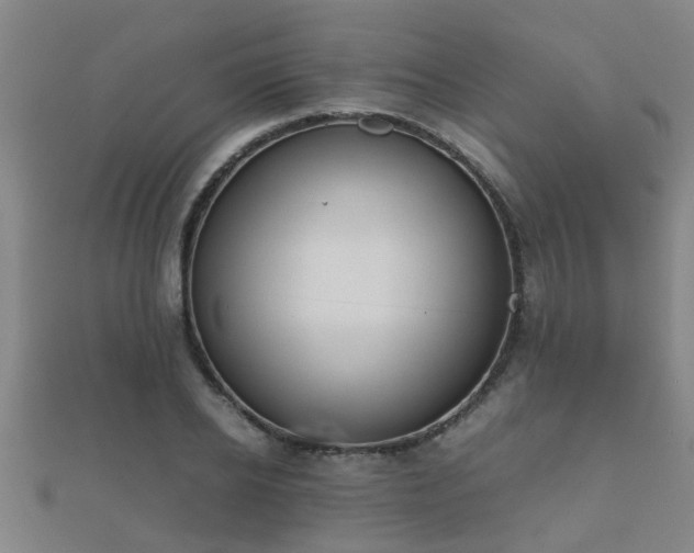 X0000112050934200908111346