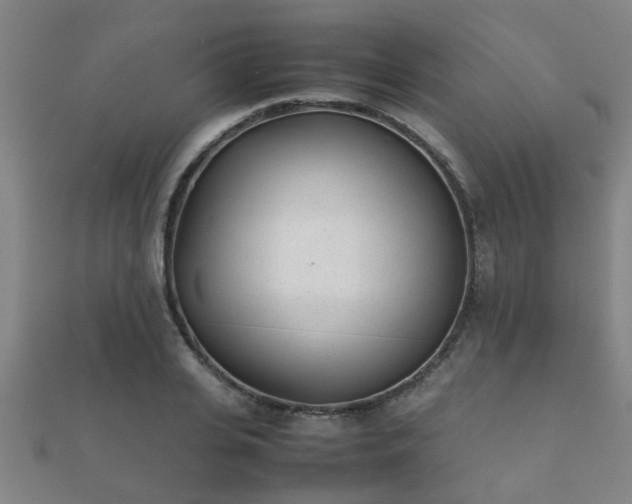 X0000112050935200908111346