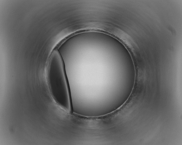 X0000112050936200908111347