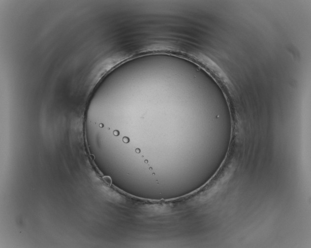 X0000112050937200908111347