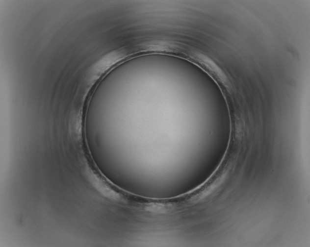 X0000112050938200908111347