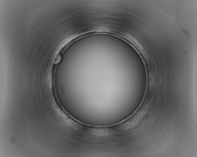 X0000112050939200908111347