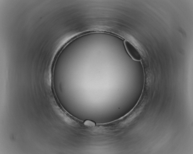 X0000112050940200908111347