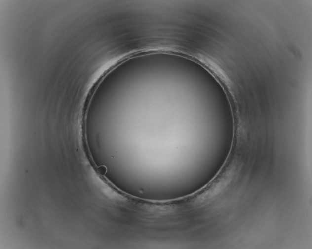 X0000112050941200908111347