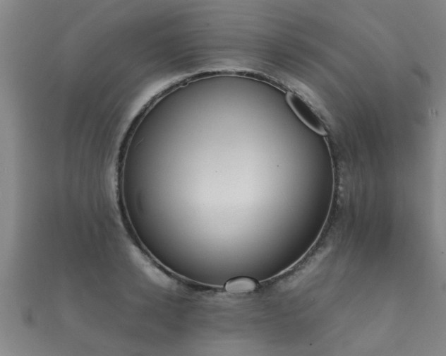 X0000112050942200908111347